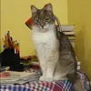 Отзыв от Лада Головина